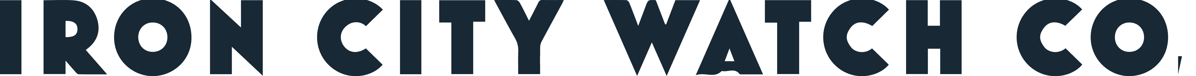 Iron City Watch Company